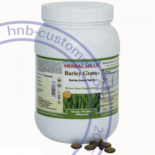 Barley Grass photo